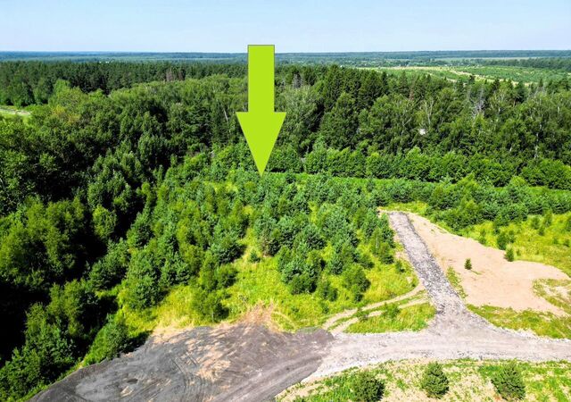 ул Сосновая 57 км, Михнево, Новокаширское шоссе фото