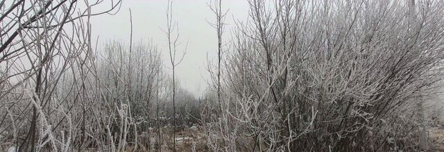 Талдом-2 садовое товарищество, 81 фото