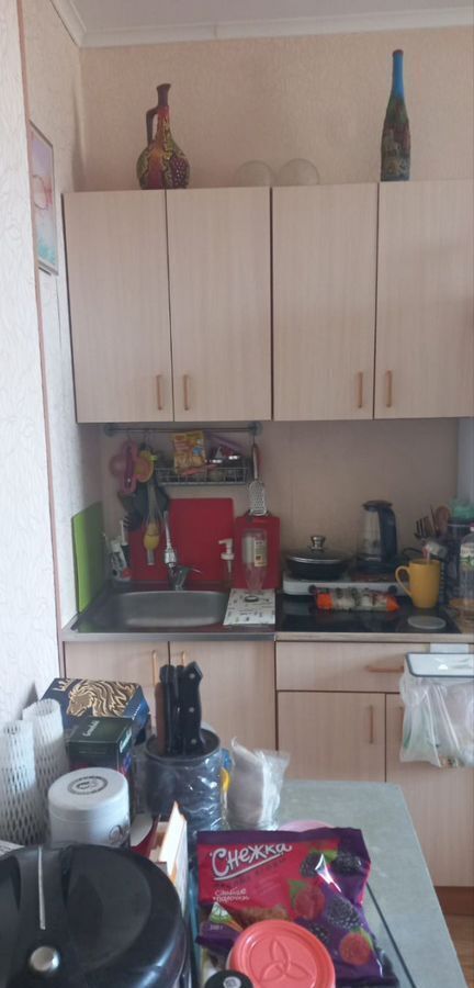 квартира г Новосибирск р-н Кировский ул Виктора Уса 15 фото 2