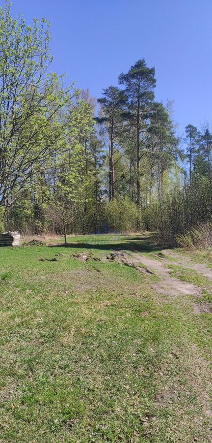 дом р-н Городецкий г Заволжье снт тер.СМУ-2 и Дом Ребенка фото 22
