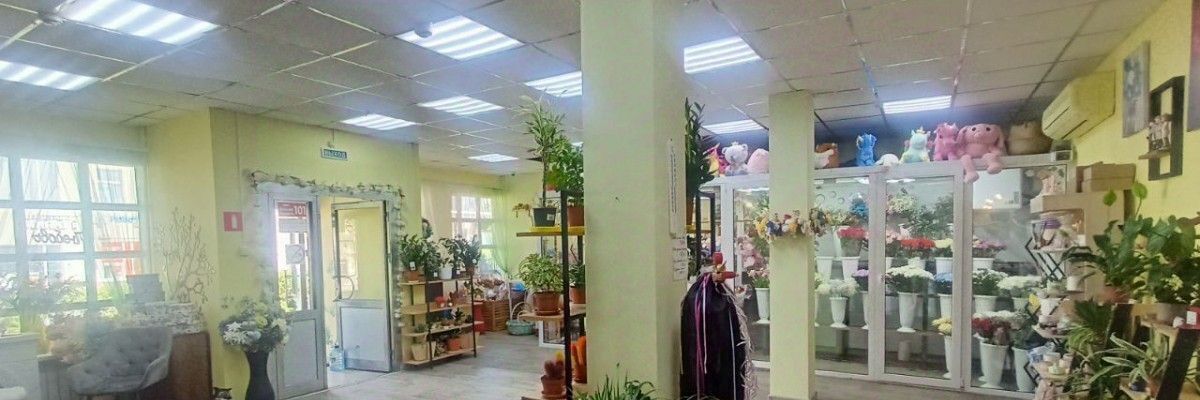 офис городской округ Богородский г Ногинск ул 3-го Интернационала 73 фото 6