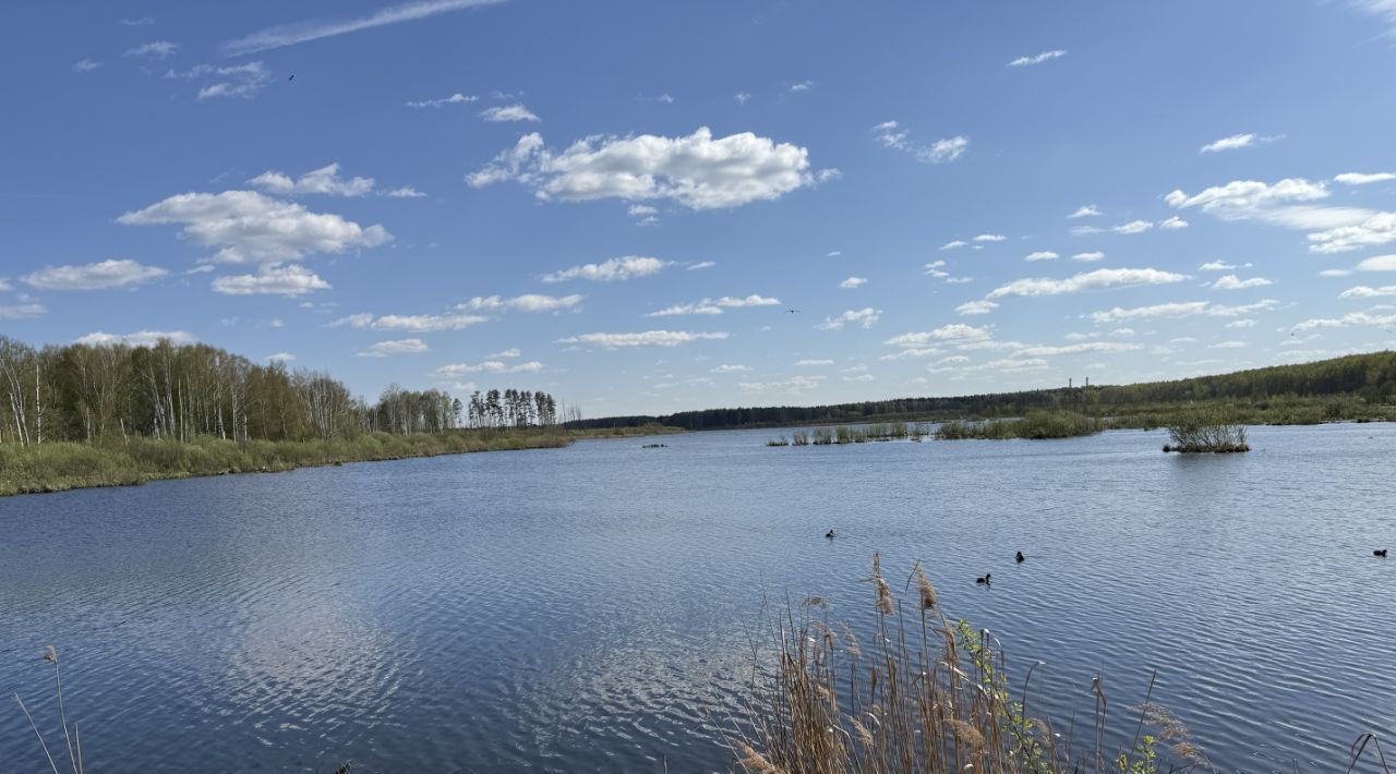 земля г Мытищи снт Водоканал Медведково фото 8