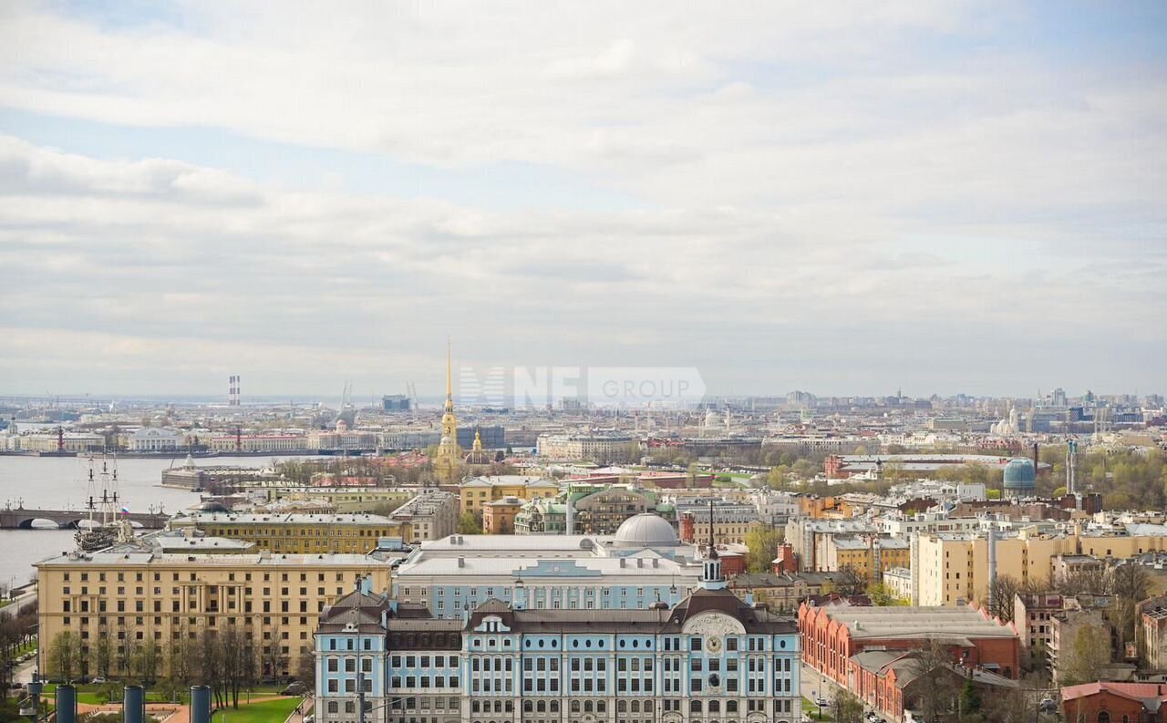 квартира г Санкт-Петербург метро Площадь Ленина пр-кт Большой Сампсониевский 4/6 фото 7