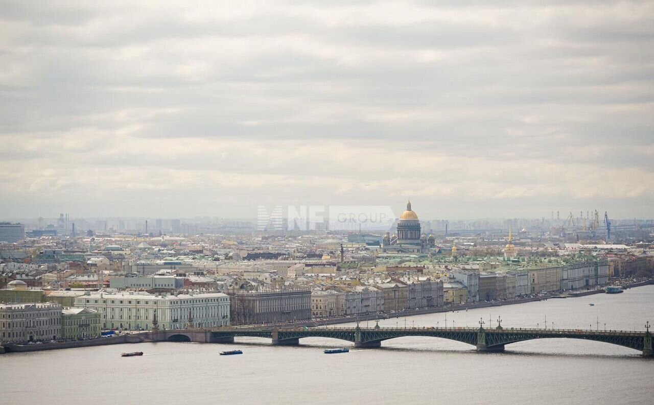 квартира г Санкт-Петербург метро Площадь Ленина пр-кт Большой Сампсониевский 4/6 фото 14