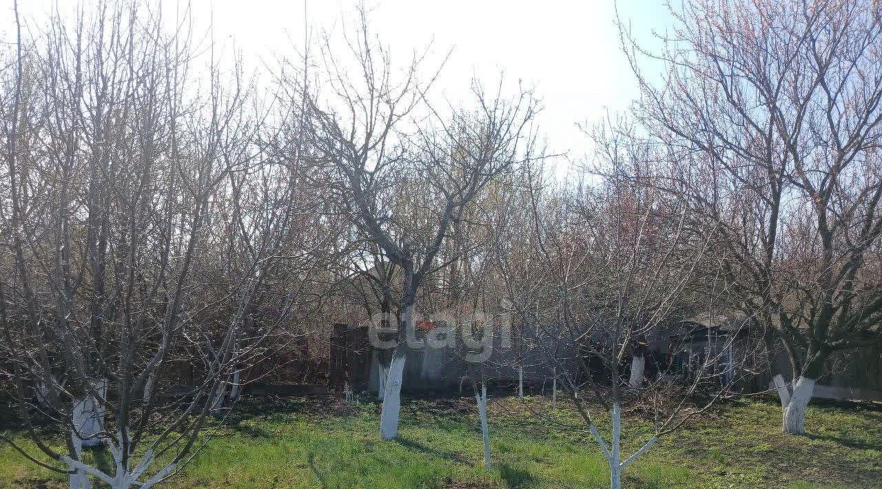 дом р-н Валуйский г Валуйки ул Чернышевского 70 фото 4