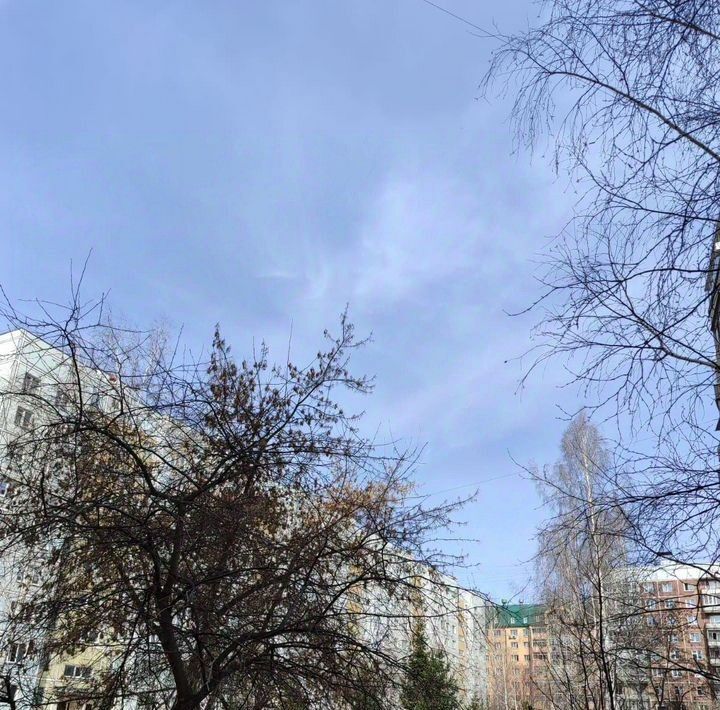 квартира г Новосибирск р-н Советский Академгородок ул Демакова 9 фото 22