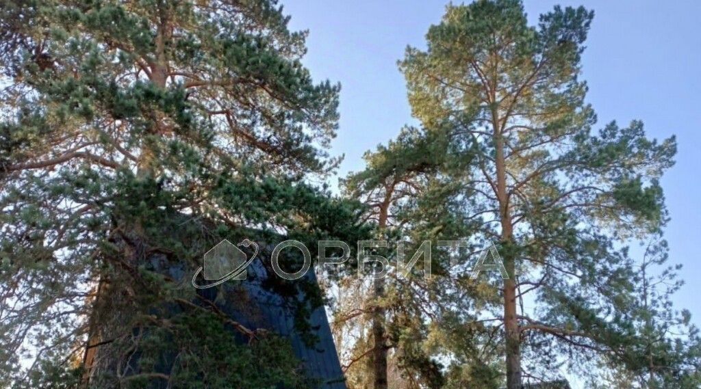 дом г Тюмень р-н Центральный снт Солнечное ул Земляничная 63 фото 4