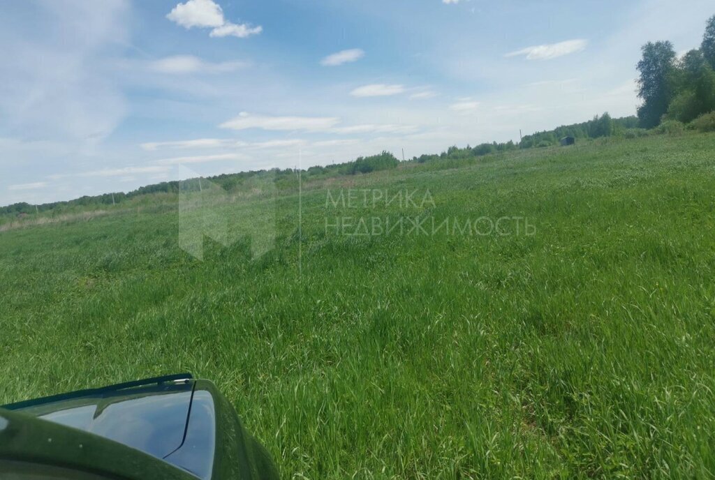 земля г Тюмень п Верхний Бор ул Дружбы фото 2