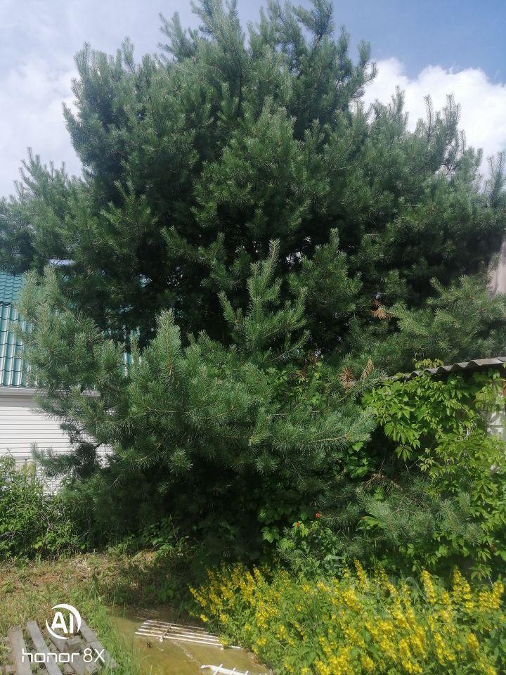 дом г Коломна Хорошово-2 СНТ, 27 фото 37