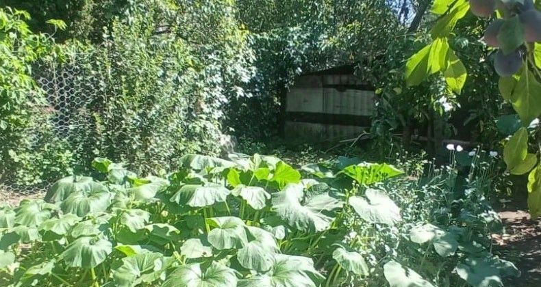дом г Калуга р-н Ленинский пер Никитина 12 фото 7