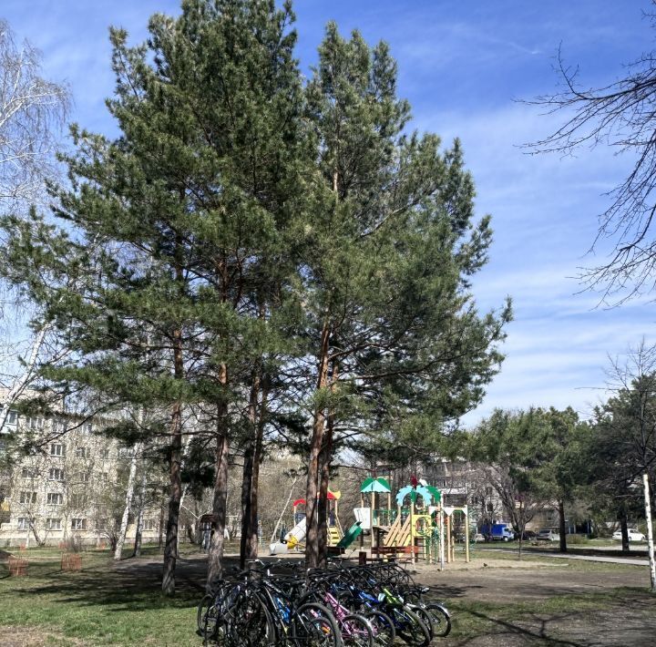 квартира г Новосибирск р-н Советский Шлюз ул Шлюзовая 4 фото 4