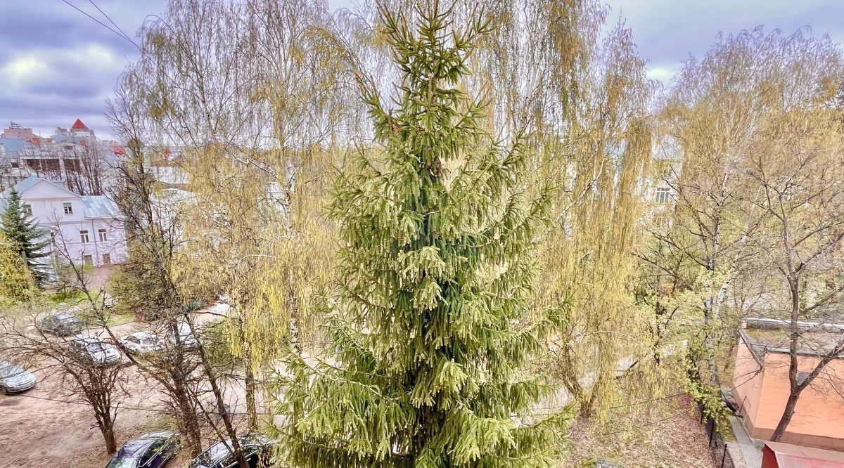 квартира г Ярославль р-н Кировский ул Суркова 6 фото 30