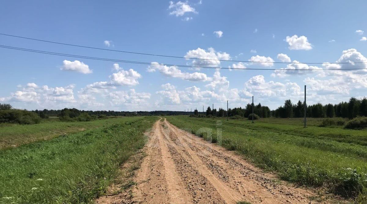 земля г Кострома п Волжский 7-й кв-л фото 5