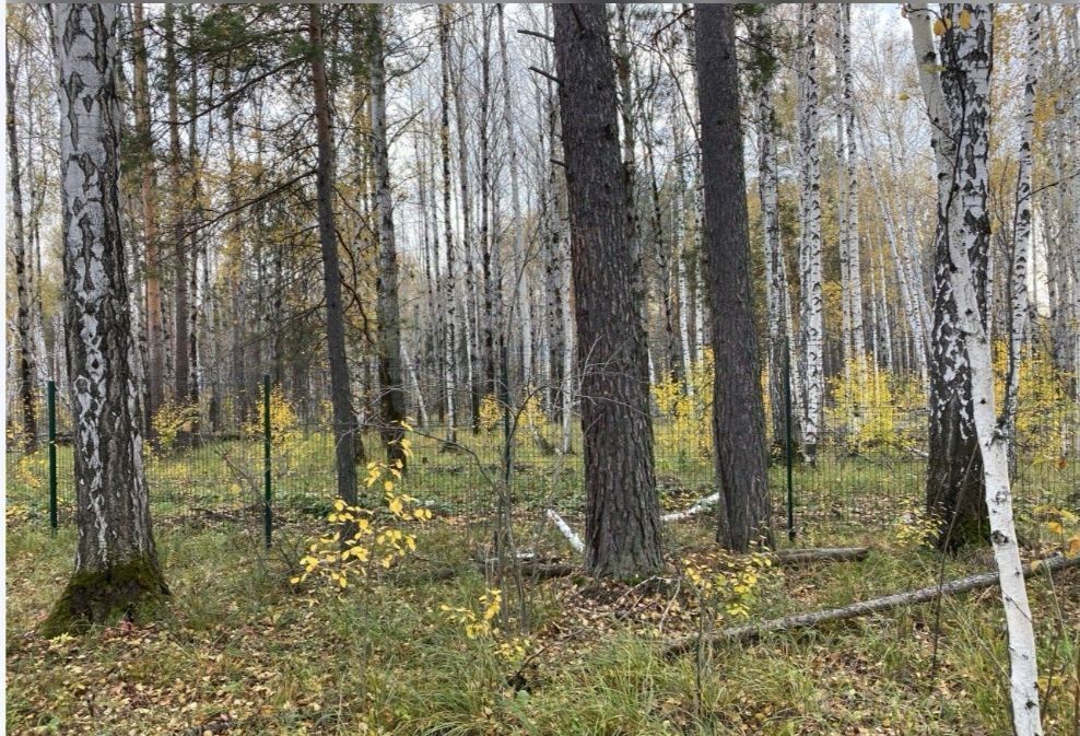 земля р-н Сысертский г Сысерть коттеджный пос. Заповедник, квартал Жаворонок, 46 фото 4