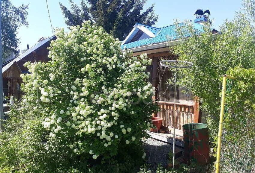 дом г Тюмень снт Ямбург ул Грушевая фото 3