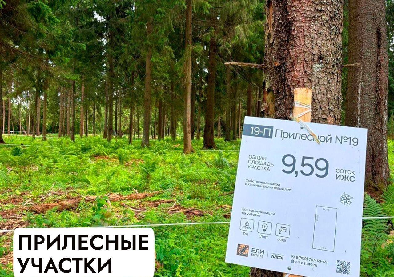 земля г Клин 54 км, эко-посёлок Ели эстейт, Новопетровское, Ленинградское шоссе фото 17
