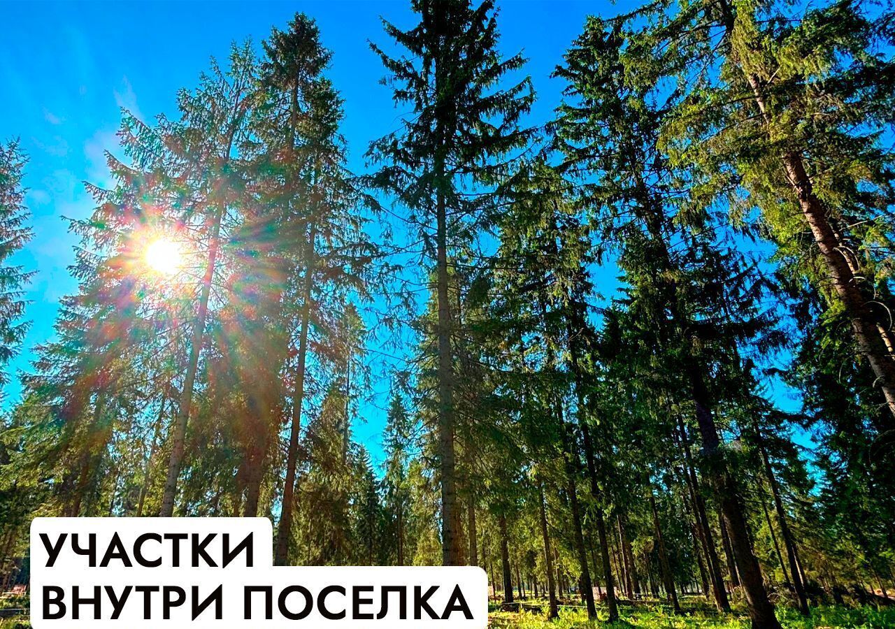 земля г Клин 54 км, эко-посёлок Ели эстейт, Новопетровское, Ленинградское шоссе фото 19