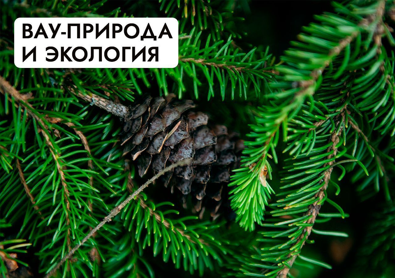 земля г Клин 54 км, эко-посёлок Ели эстейт, Новопетровское, Ленинградское шоссе фото 31