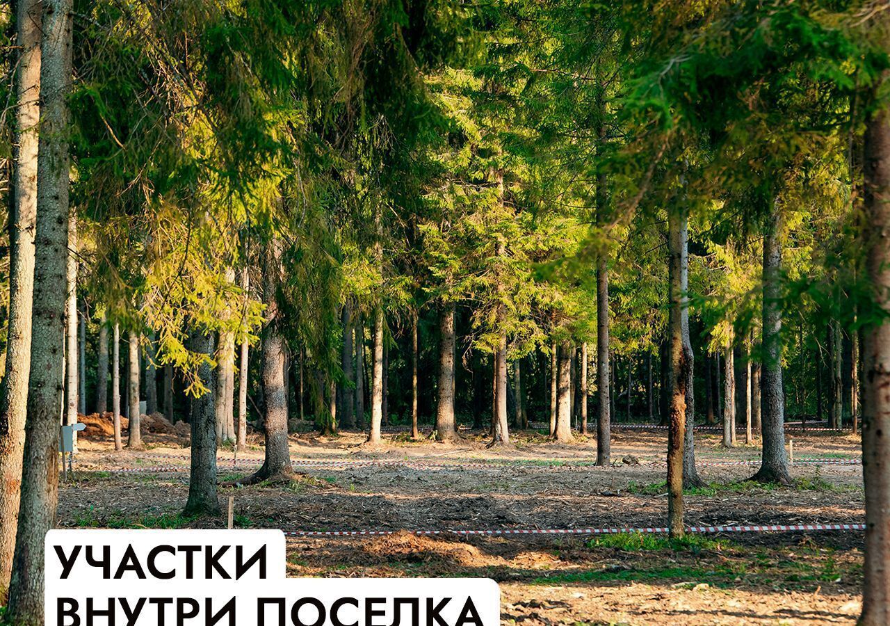 земля г Клин 54 км, эко-посёлок Ели эстейт, Новопетровское, Ленинградское шоссе фото 33