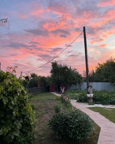 снт Экспресс сельсовет, Нежинка фото