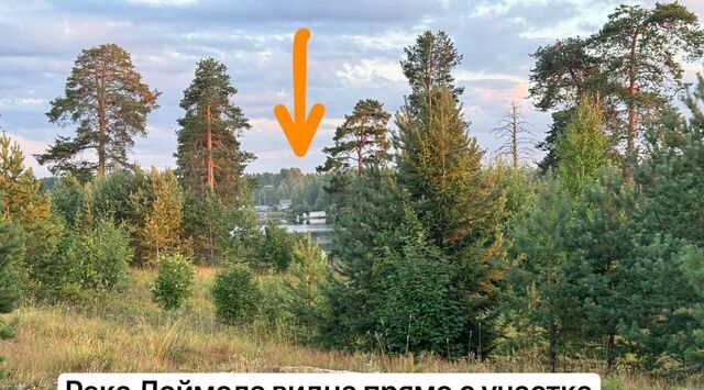 ш Суоярвское фото