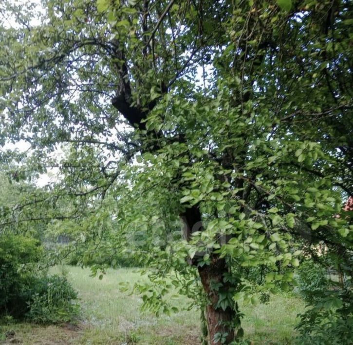 земля г Курск р-н Центральный снт Мир 13-й кв-л, 39 фото 1