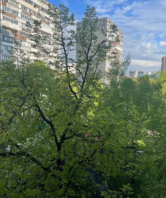 квартира г Москва метро Белорусская ул Скаковая 13к/2 фото 4