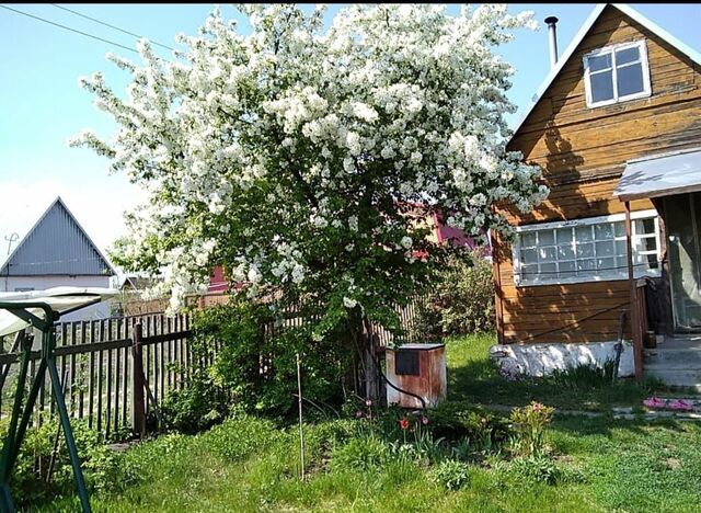 снт Лесное Барнаул фото