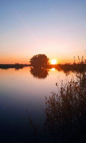 земля ул Малиновая Заборьевское сельское поселение, Рязань фото