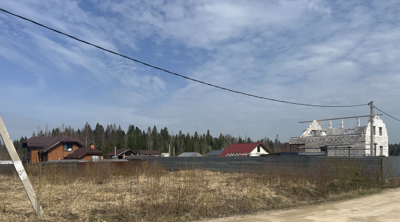 земля г Сосновый Бор Северная Пальмира кп, 41 фото 4