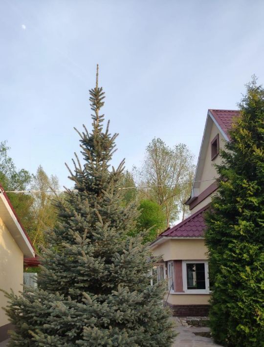 дом г Новокуйбышевск снт Садовый берег ул Дачников 57 фото 31