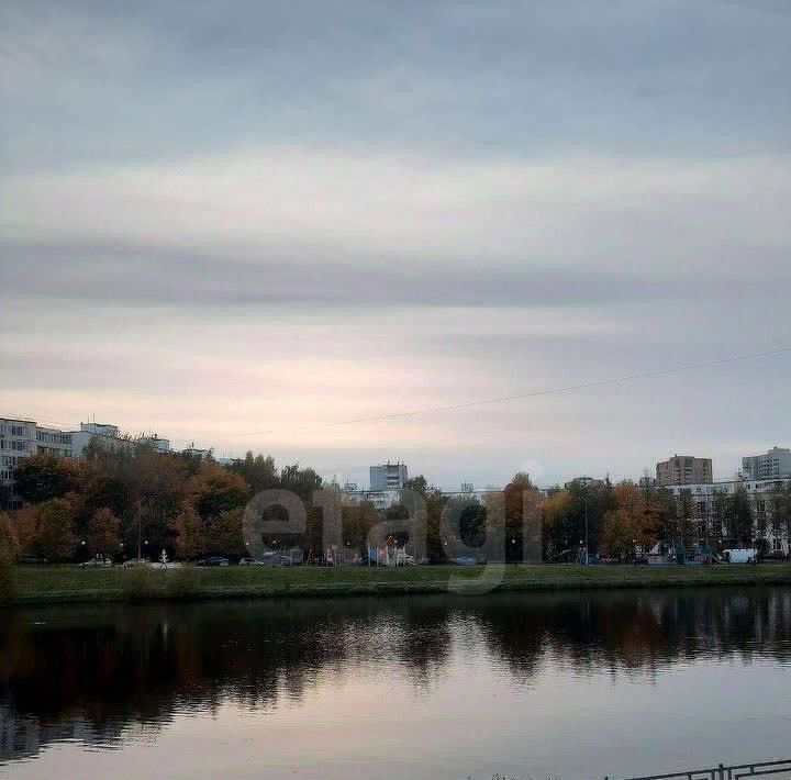 квартира г Москва метро Первомайская ш Энтузиастов 100к/1 фото 15