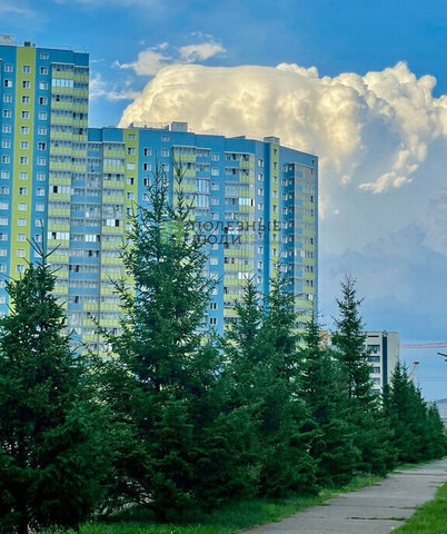 квартира ул Петра Подзолкова 3и фото
