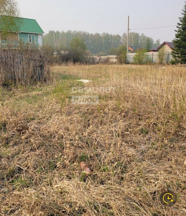 земля г Омск снт Березовая Роща 857-859 фото 5