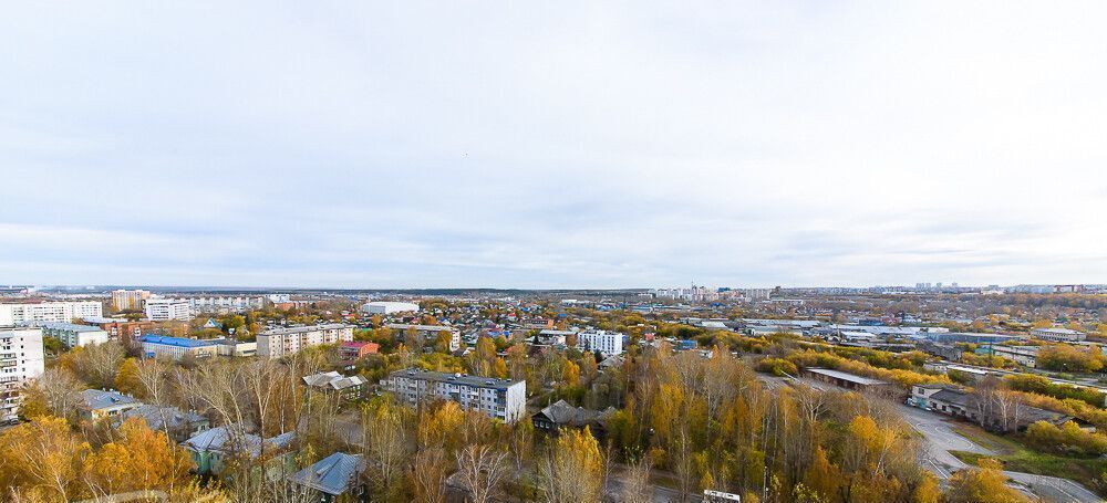 квартира г Томск р-н Ленинский Черемошники пер Шпальный 3 фото 4