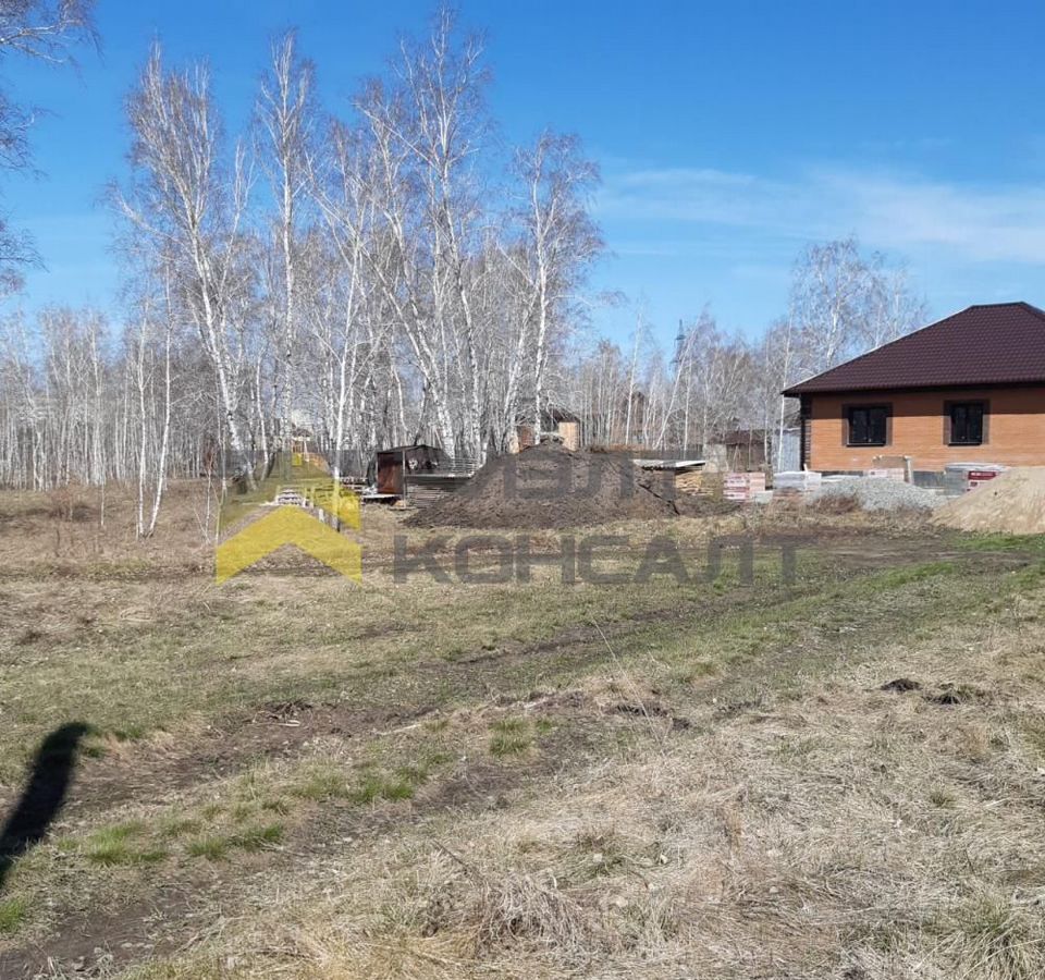 земля г Омск ул Есаульская Новосибирский тракт, 5809 км фото 1