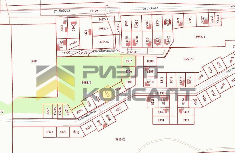 земля г Омск ул Есаульская Новосибирский тракт, 5809 км фото 3