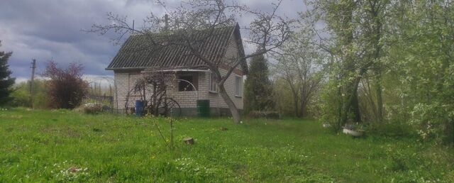снт Платоново Пореченская волость, Великие Луки фото
