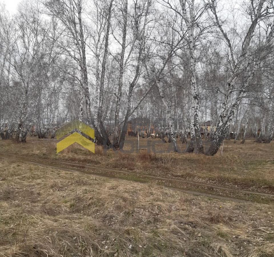 земля г Омск ул Есаульская Новосибирский тракт, 5809 км фото 5