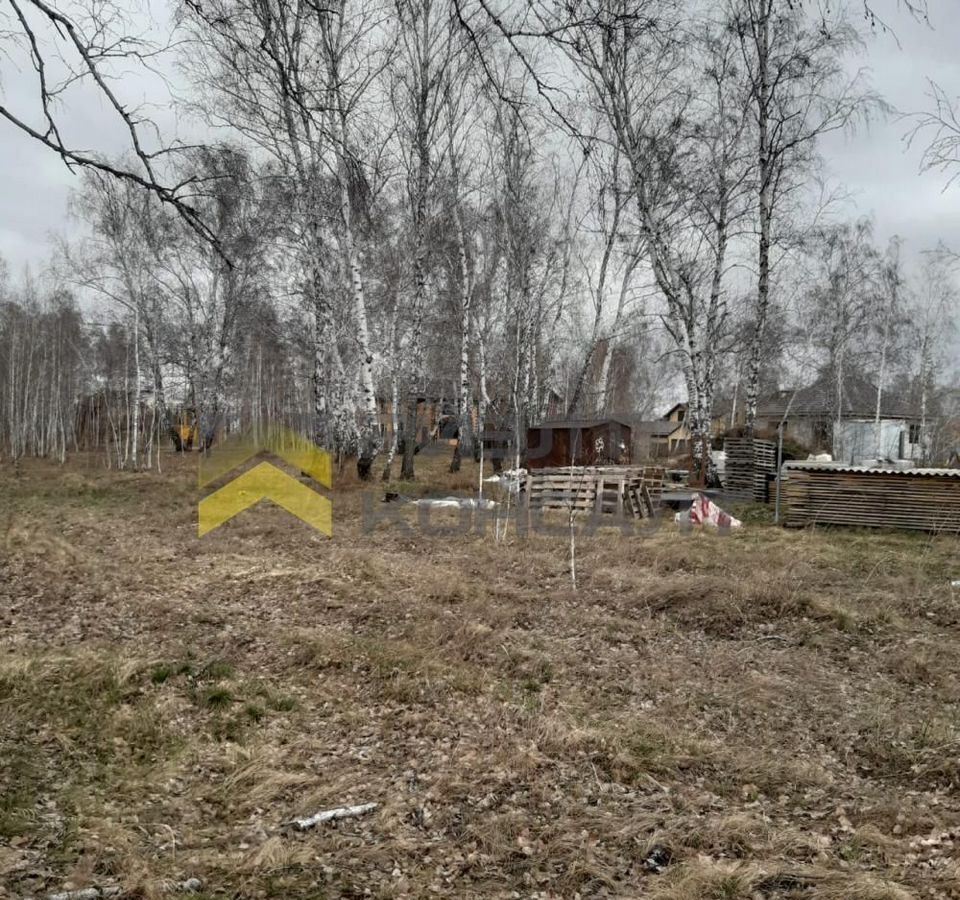 земля г Омск ул Есаульская Новосибирский тракт, 5809 км фото 6