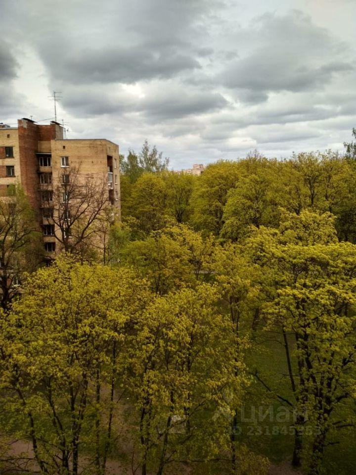 квартира г Санкт-Петербург ул Орбели 17 округ Светлановское, Ленинградская область фото 12