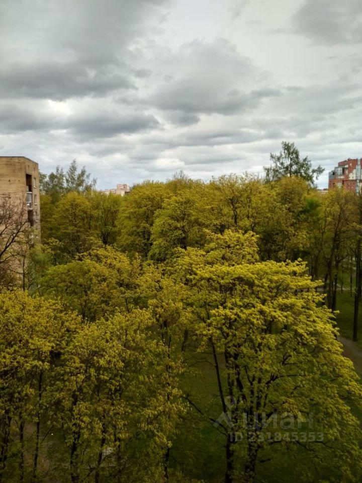 квартира г Санкт-Петербург ул Орбели 17 округ Светлановское, Ленинградская область фото 10