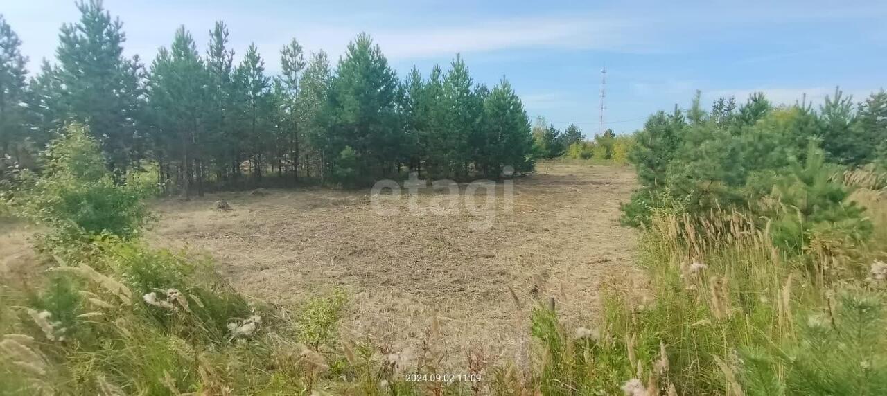 земля г Камышлов Буденного фото 3