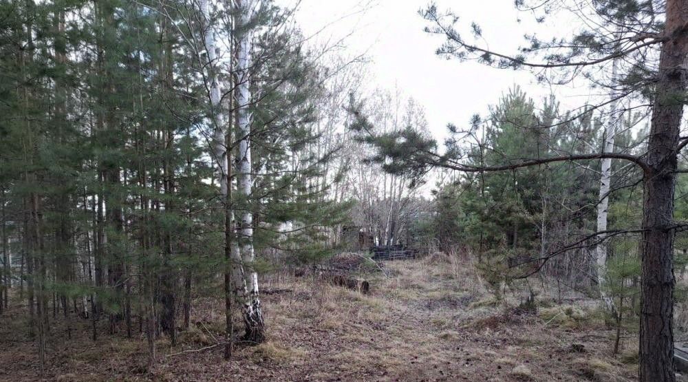 дом г Иркутск снт Маяк-1 ул Центральная 39 Ангарский городской округ фото 21