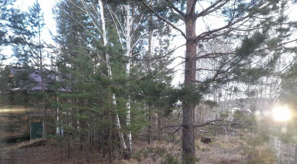 дом г Иркутск снт Маяк-1 ул Центральная 39 Ангарский городской округ фото 23