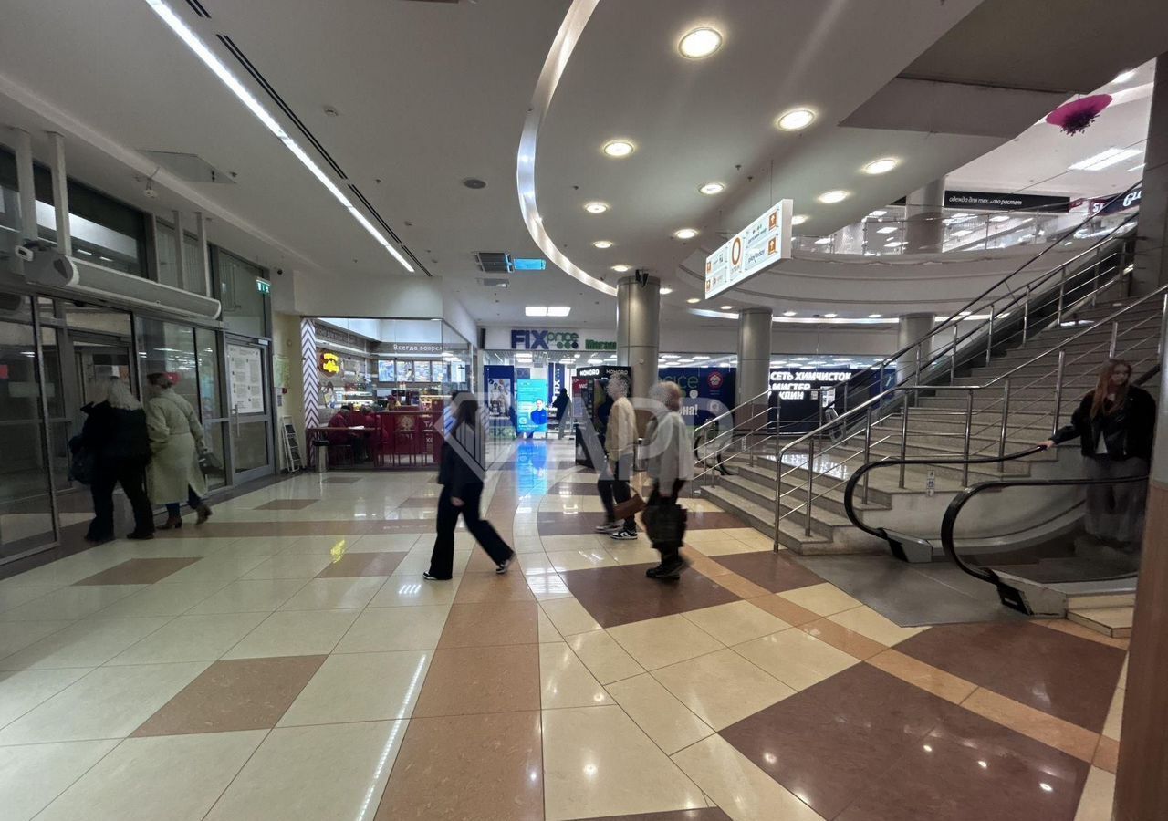 торговое помещение г Казань метро Площадь Тукая ул Петербургская 9 Республика Татарстан Татарстан фото 16