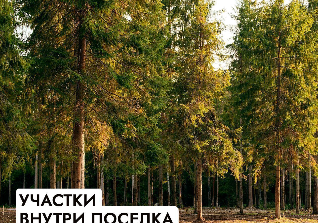 земля г Истра д Рождествено 47 км, Солнечногорск, Пятницкое шоссе фото 15