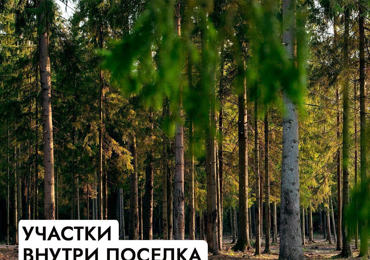 земля г Истра д Рождествено 47 км, Солнечногорск, Пятницкое шоссе фото 18