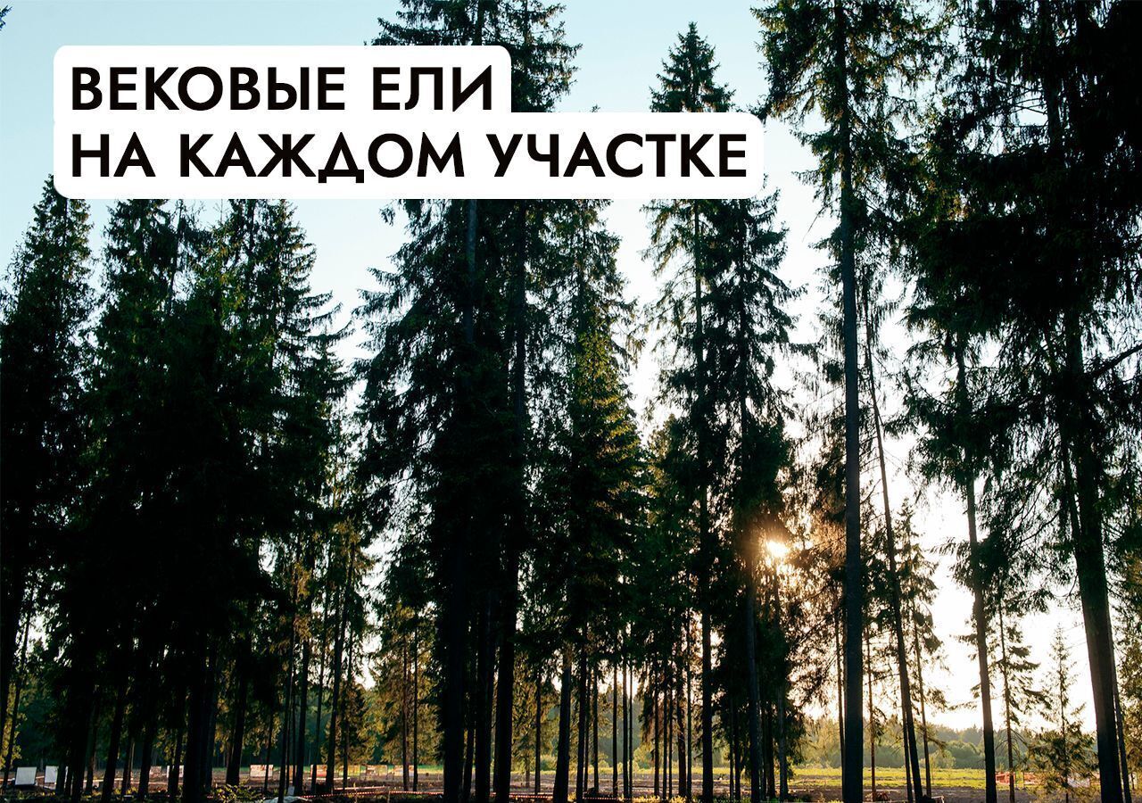 земля г Истра д Рождествено 47 км, Солнечногорск, Пятницкое шоссе фото 19
