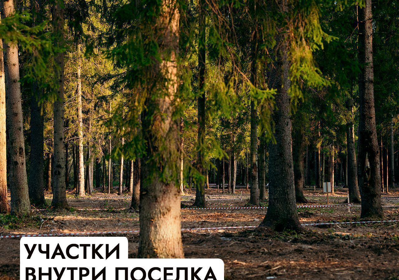 земля г Истра д Рождествено 47 км, Солнечногорск, Пятницкое шоссе фото 21